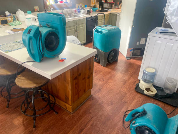 Best Water damage restoration process  in Walkersville, MD