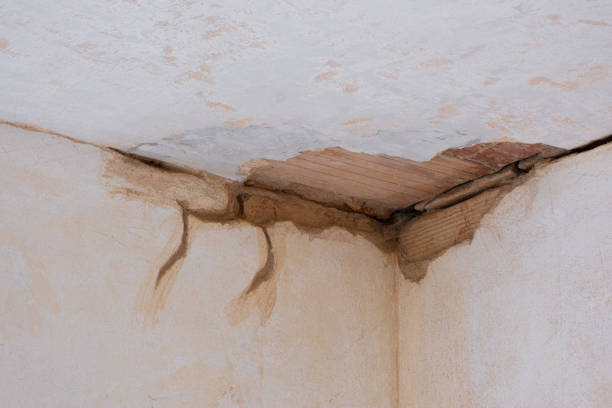 Best Water damage restoration services  in Walkersville, MD