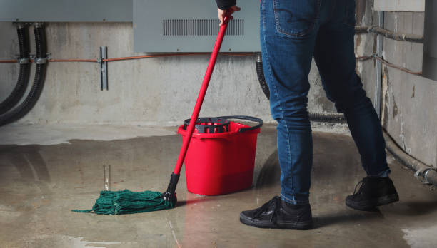 Best Mold removal after water damage  in Walkersville, MD